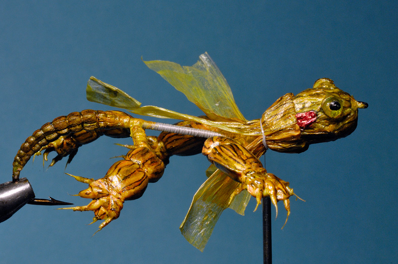 Raffia is pulled back to shape the turtles retractable neck